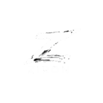 ziron